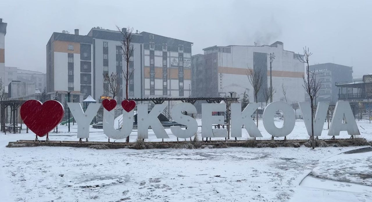 Yüksekova’da Lapa Lapa Kar Yağışı! Sürücüler Zor Anlar Yaşadı - Sayfa 4