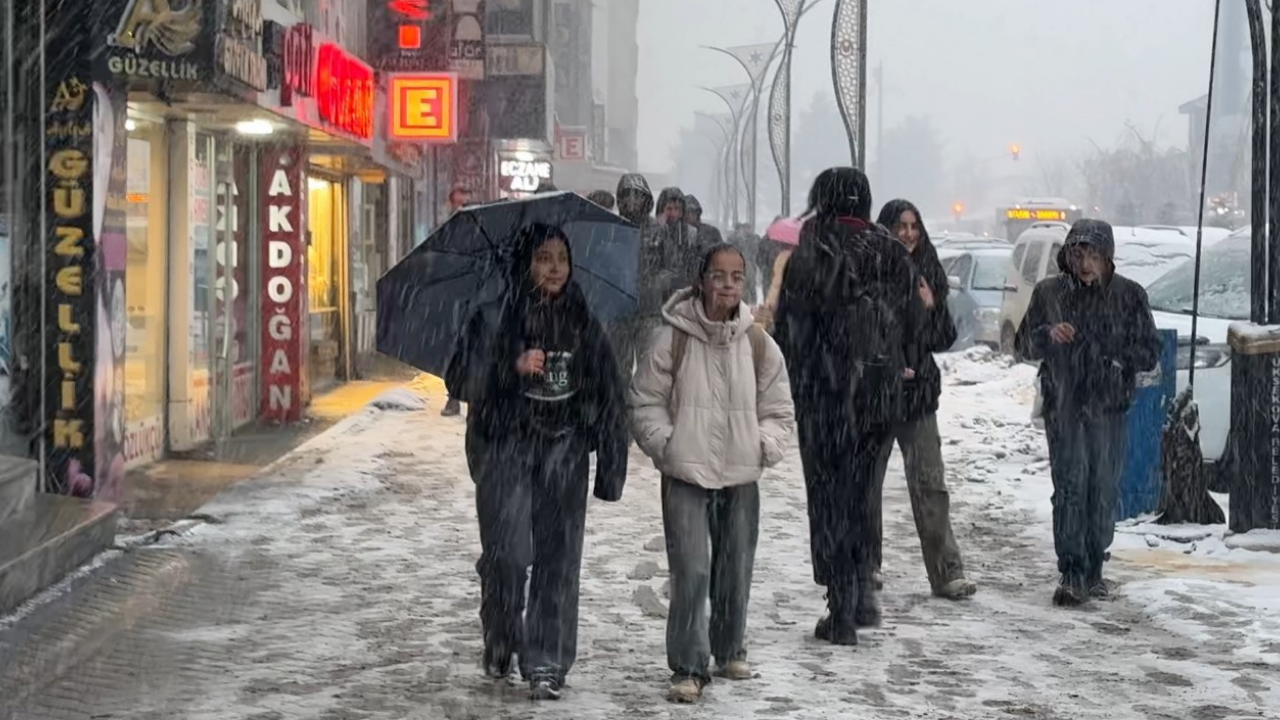 Yüksekova’da Lapa Lapa Kar Yağışı! Sürücüler Zor Anlar Yaşadı