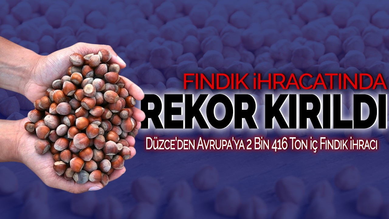 Fındık İhracatında Rekor Kırıldı! Düzce'den Avrupa'ya 2 Bin 416 Ton İç Fındık İhracı