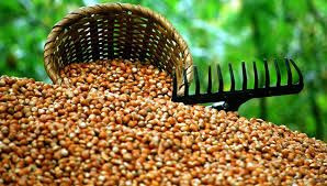 Fındık İhracatında Rekor Kırıldı! Düzce'den Avrupa'ya 2 Bin 416 Ton İç Fındık İhracı - Sayfa 3