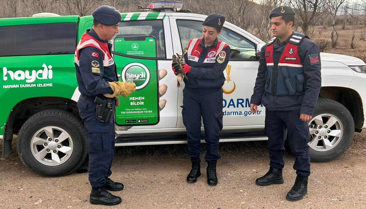 Kırıkkale’de Jandarma Yaralı Baykuşa Şefkat Eli Uzattı - Sayfa 3
