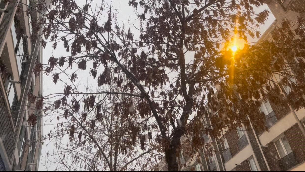 Isparta’da Yoğun Kar Yağışı: Şehir Beyaza Büründü - Sayfa 4