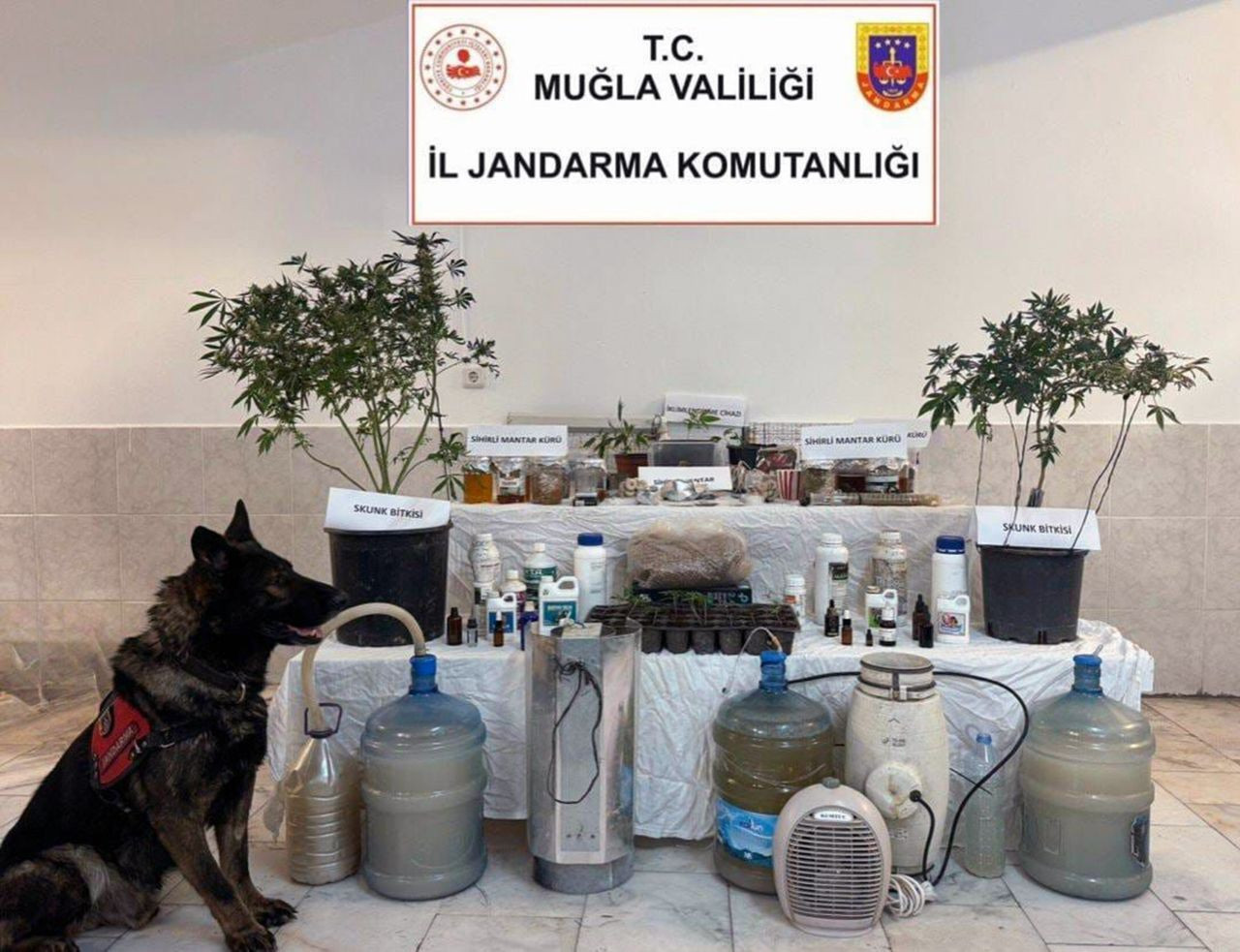 Muğla’da Uyuşturucu Üretim Düzeneği Ele Geçirildi - Sayfa 4