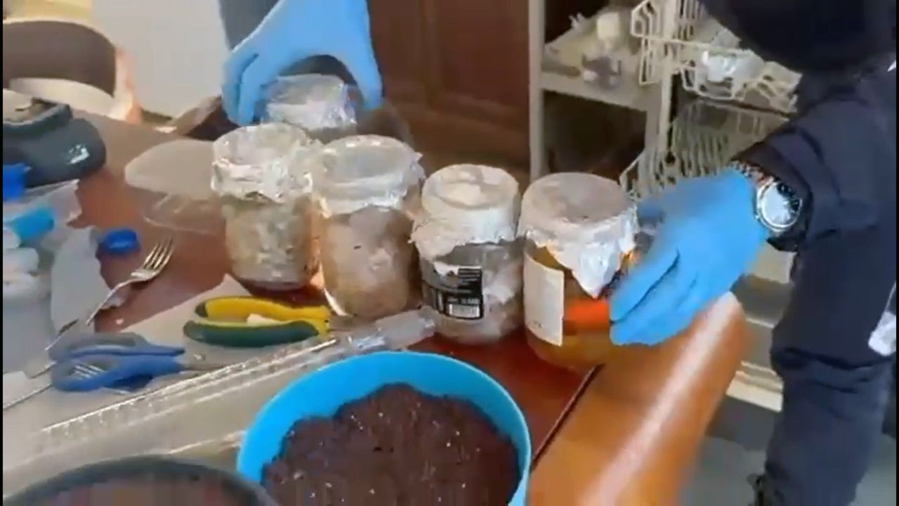 Muğla’da Uyuşturucu Üretim Düzeneği Ele Geçirildi - Sayfa 3