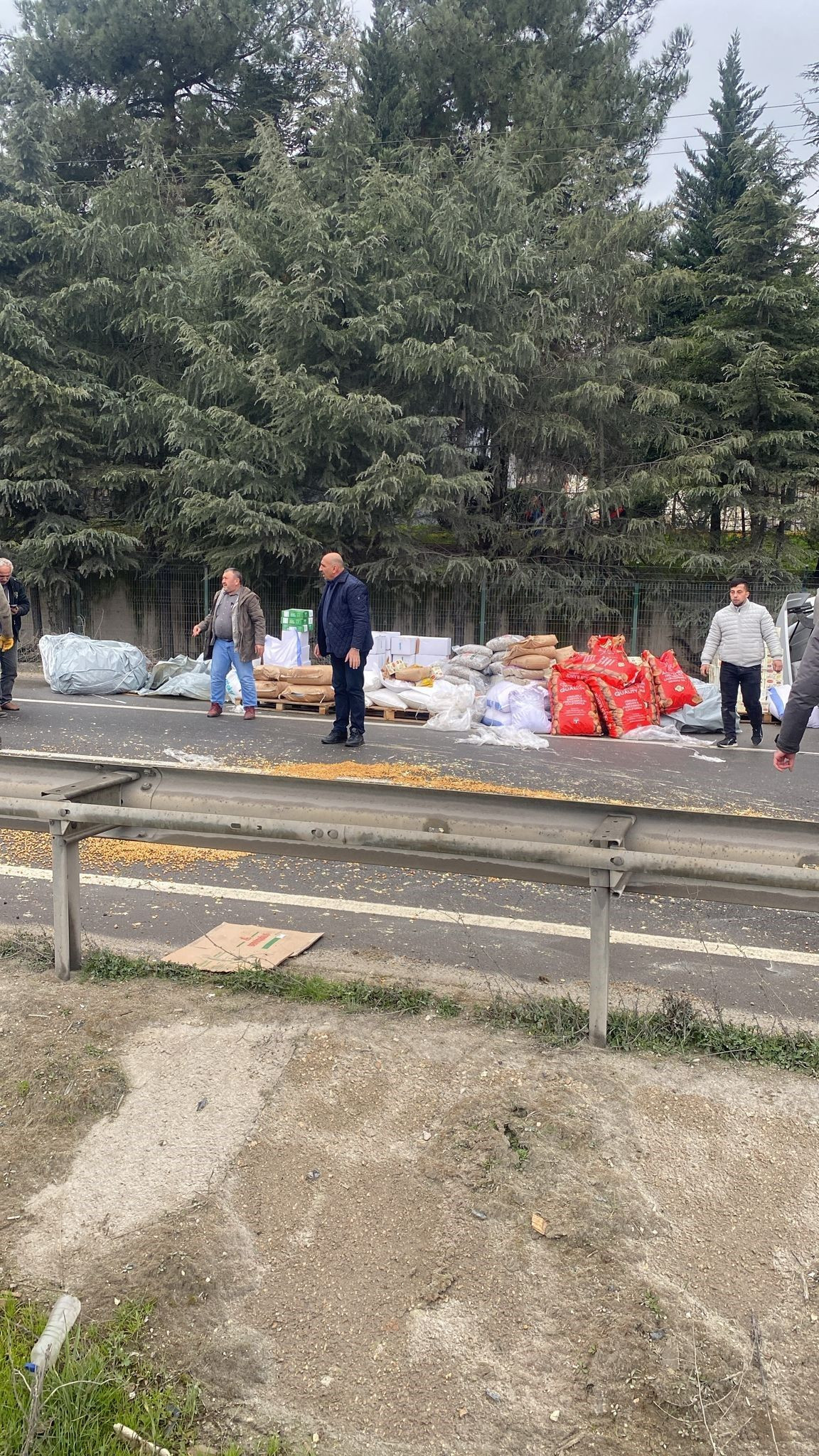 Bilecik’te Tır Devrildi! Kuruyemiş ve Baklagiller Yola Saçıldı - Sayfa 1