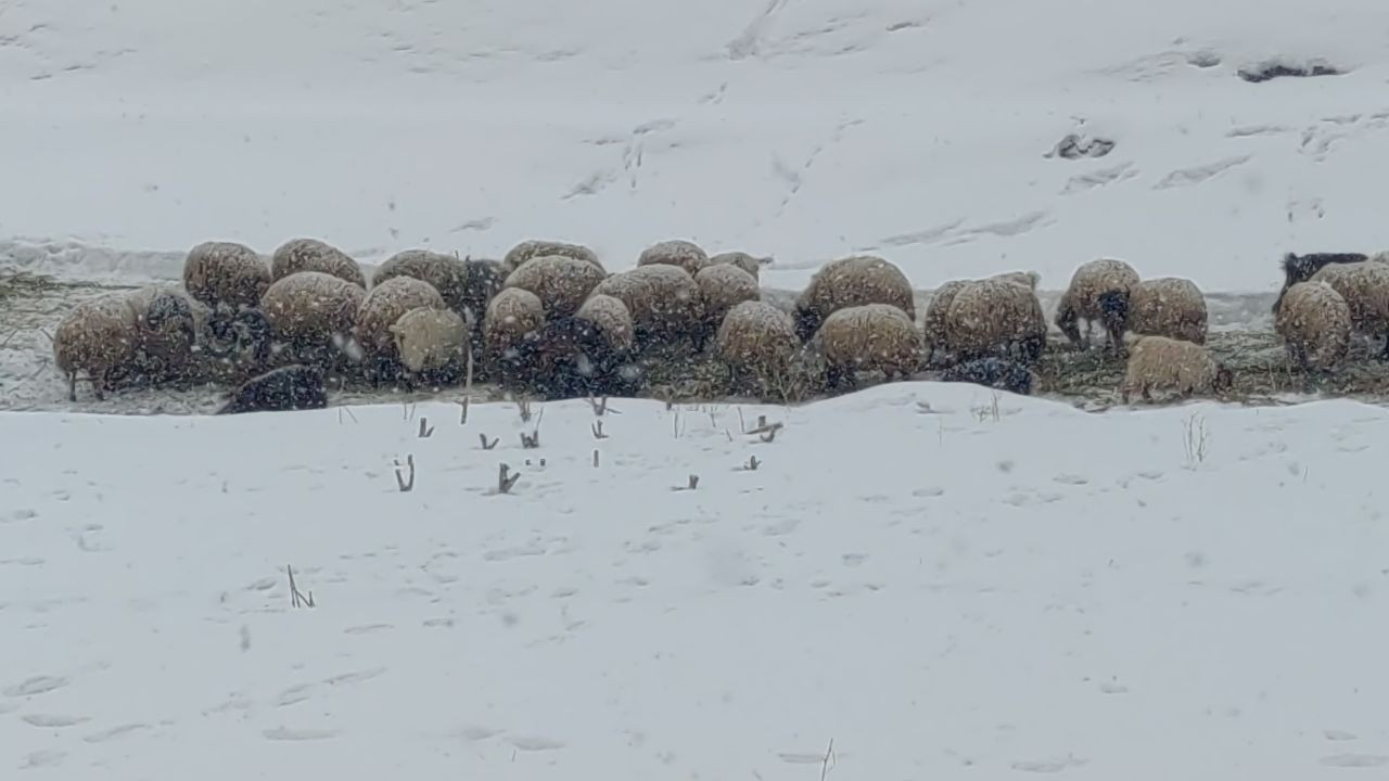 Van'da Aniden Bastıran Kar Yağışı Sürücülere Zor Anlar Yaşattı - Sayfa 7