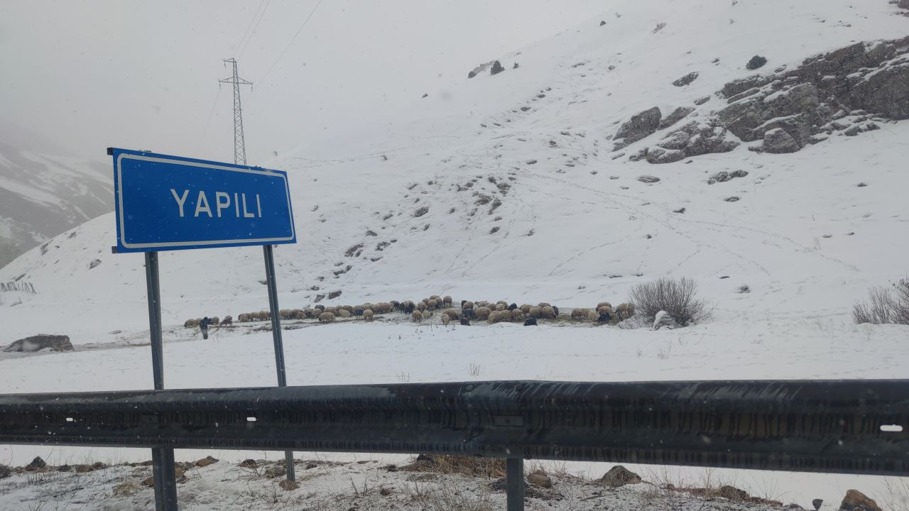 Van'da Aniden Bastıran Kar Yağışı Sürücülere Zor Anlar Yaşattı - Sayfa 6