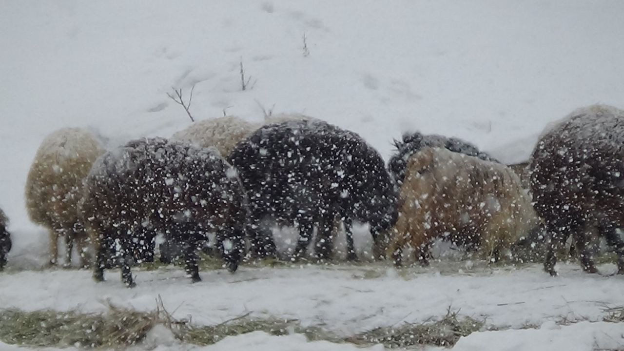 Van'da Aniden Bastıran Kar Yağışı Sürücülere Zor Anlar Yaşattı - Sayfa 4