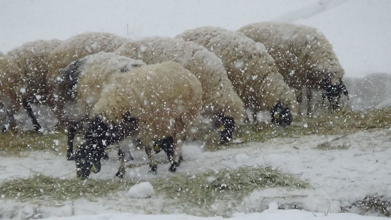 Van'da Aniden Bastıran Kar Yağışı Sürücülere Zor Anlar Yaşattı - Sayfa 2