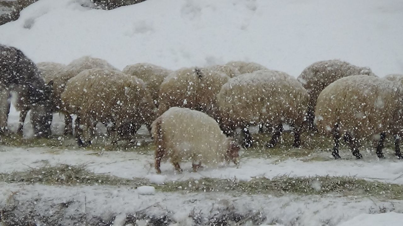 Van'da Aniden Bastıran Kar Yağışı Sürücülere Zor Anlar Yaşattı - Sayfa 3