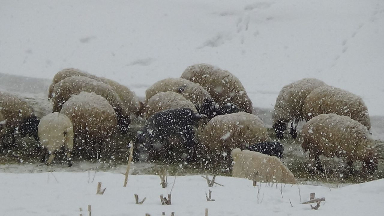 Van'da Aniden Bastıran Kar Yağışı Sürücülere Zor Anlar Yaşattı - Sayfa 1