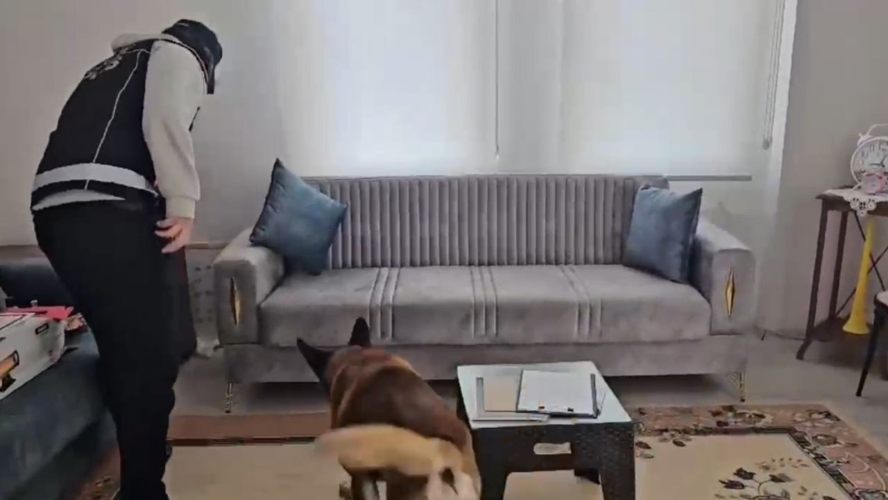 Çorum'da 8 Adrese Operasyon! Vazolardan Uyuşturucu Çıktı - Sayfa 2