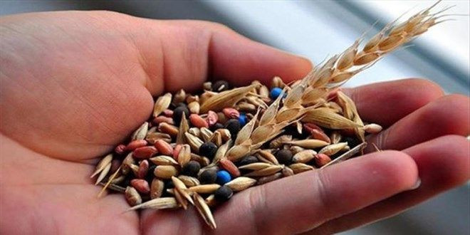 Tarımda Büyük Destek! 2,25 Milyar Lira Çiftçilere Aktarılıyor! - Sayfa 4