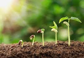 Tarımda Büyük Destek! 2,25 Milyar Lira Çiftçilere Aktarılıyor! - Sayfa 3