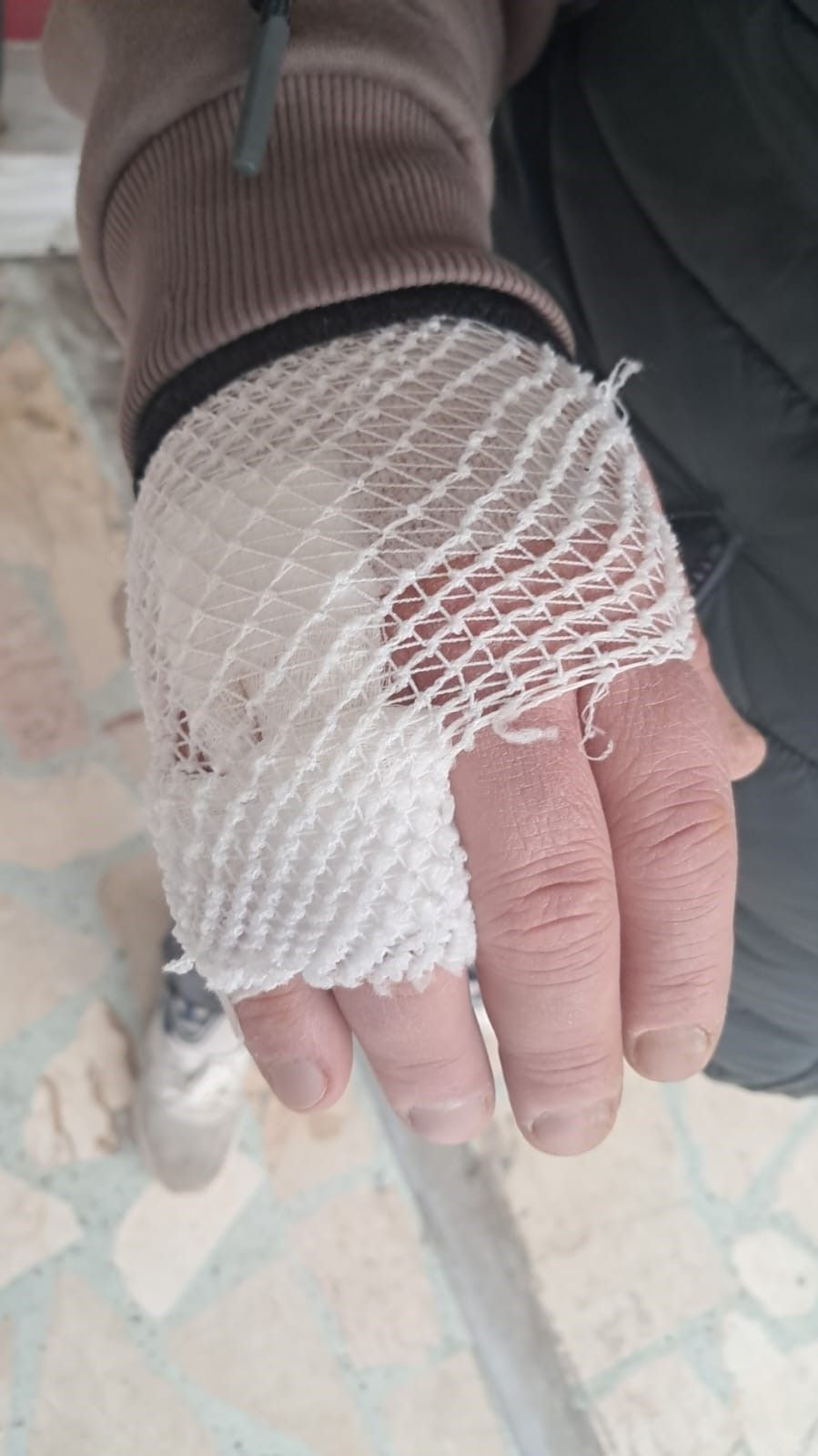 Kocaeli'de Dehşet Anları: Başsız Pitbull, Köpeği Parçaladı! - Sayfa 3