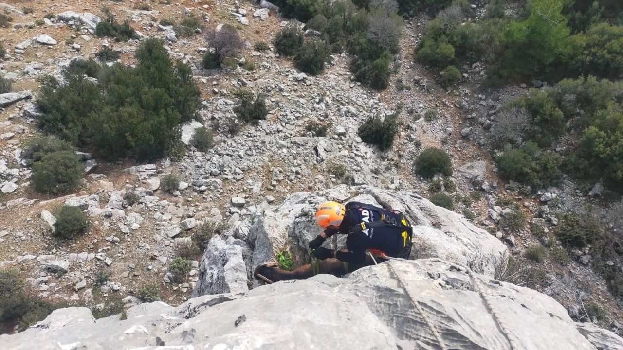 Burdur’da Dağda Mahsur Kalan Keçileri AFAD Kurtardı - Sayfa 3