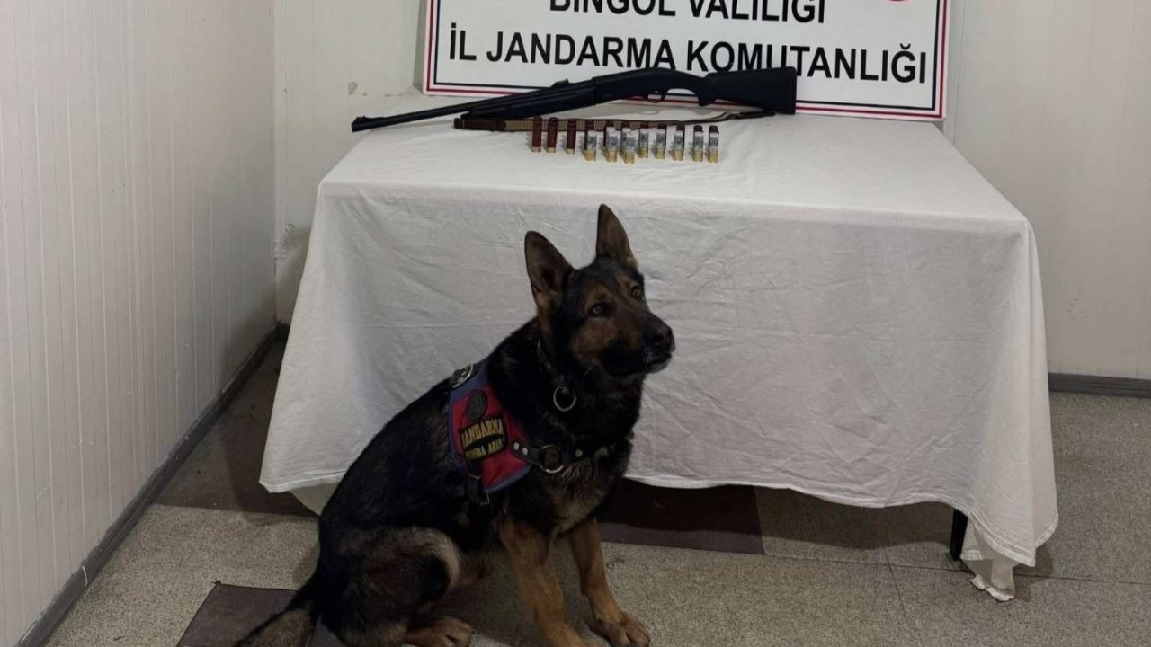 Bingöl’de Jandarmadan Operasyon: Uyuşturucu ve Silahla Yakalandılar