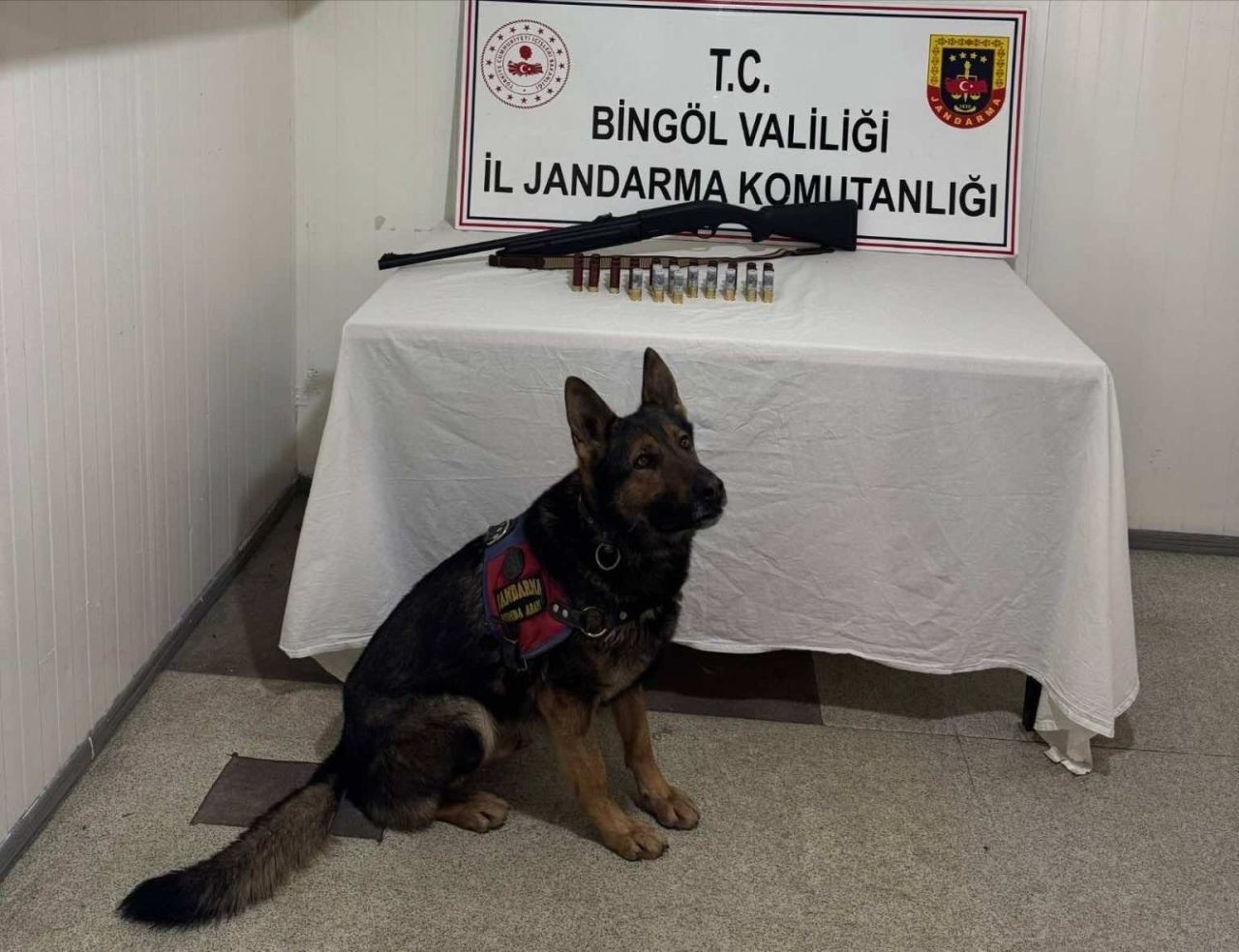 Bingöl’de Jandarmadan Operasyon: Uyuşturucu ve Silahla Yakalandılar - Sayfa 2