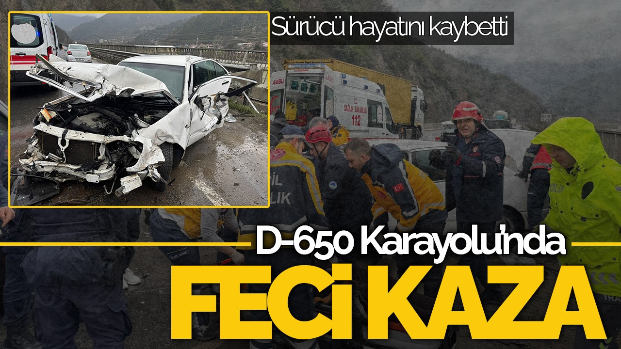 D-650'de Feci Kaza: Yaşlı Çifti Ölüm Ayırdı