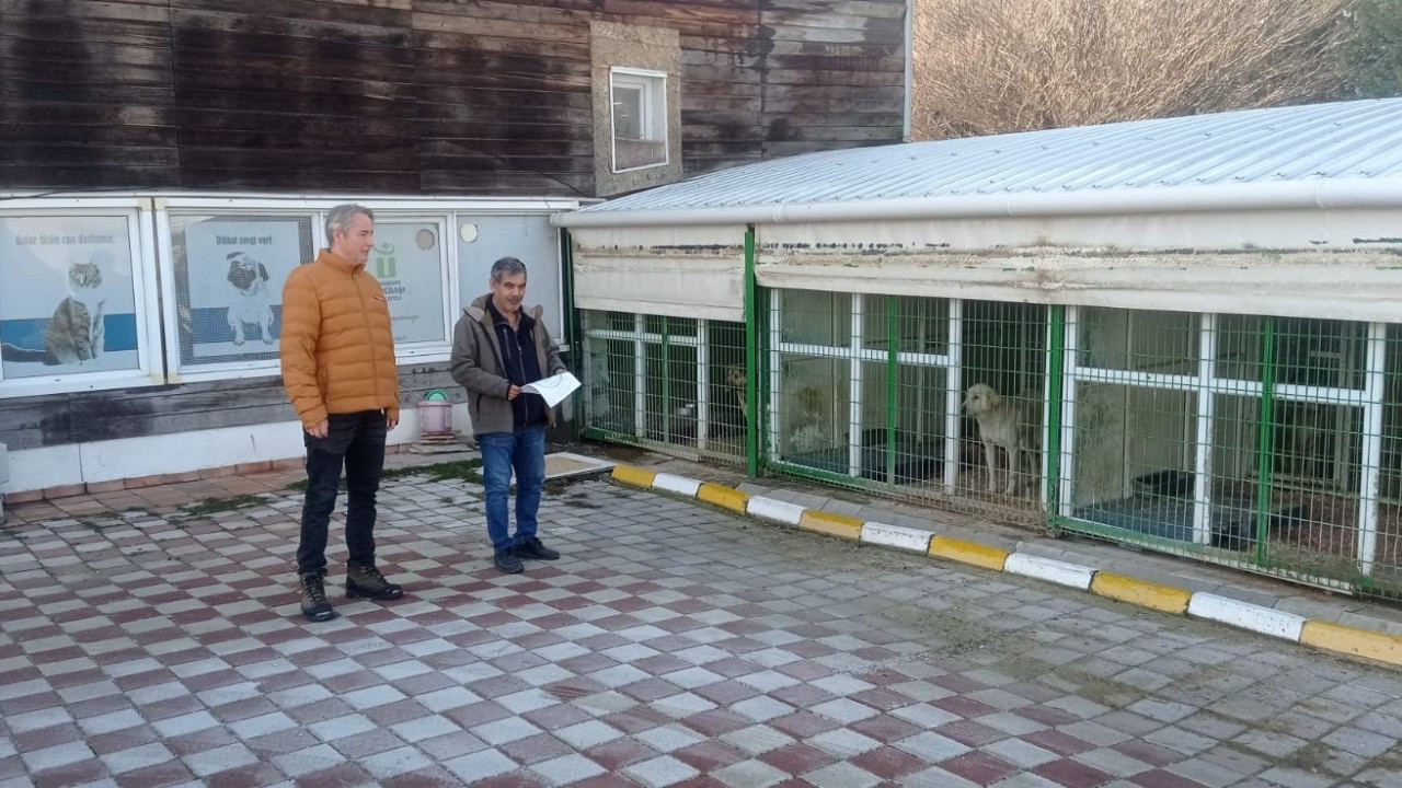 Eskişehir'de Petshop ve Hayvan Bakımevlerine Yönelik Denetim