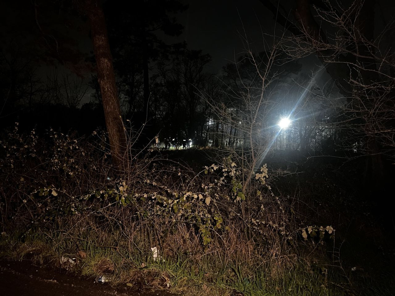 Arnavutköy'de Ağaçlık Alanda Erkek Cesedi Bulundu - Sayfa 2