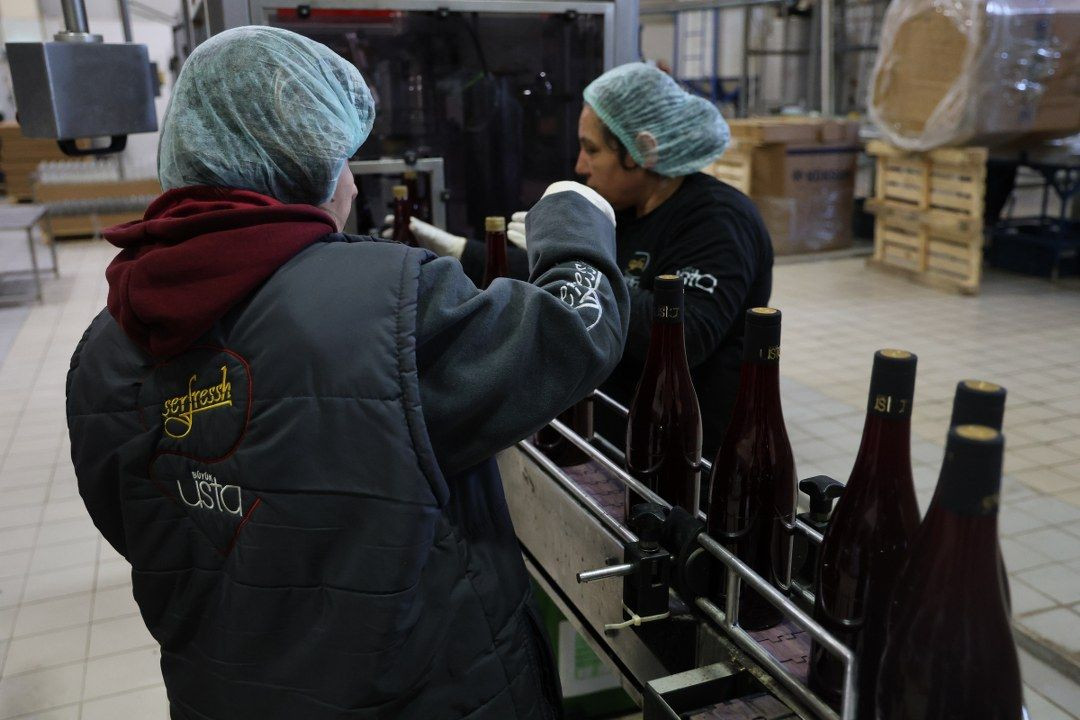 Soğuk Havanın Etkisiyle Bağışıklık Güçlendirici Özelliği Olan Şalgama İlgi Yüzde 40 Arttı! - Sayfa 5