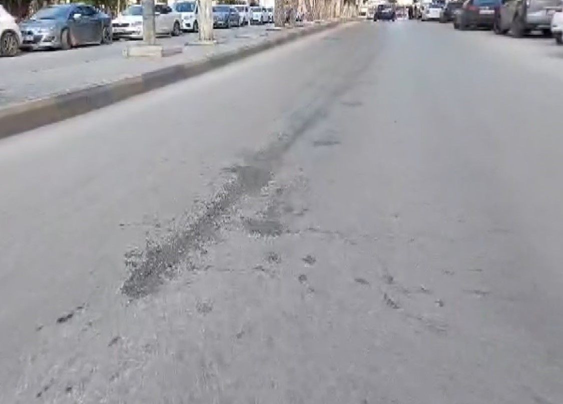 Sokak Köpeklerinden Kaçarken Kamyonet Çarptı! - Sayfa 3