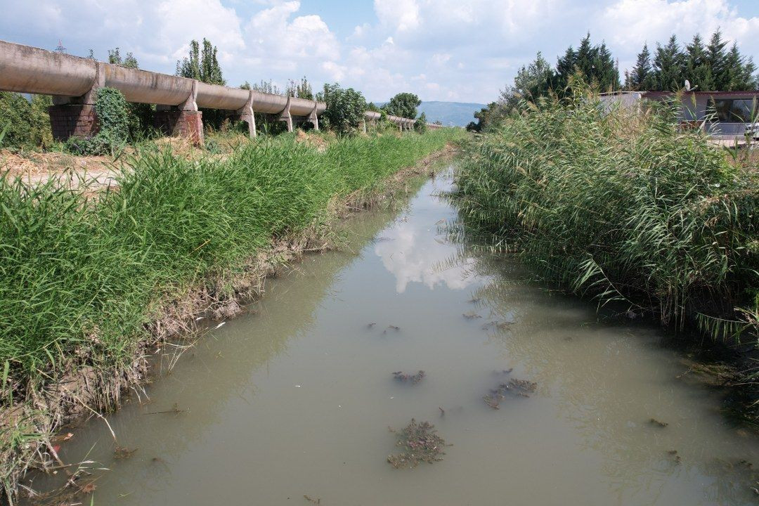 Uzmanı Uyardı: Tatlı Su Krizi Kapıda! - Sayfa 4
