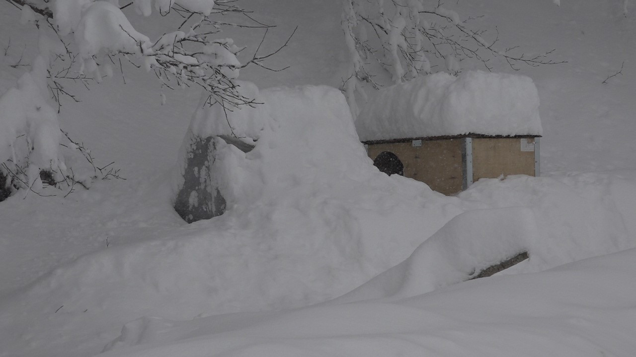 Kırklareli'nde Kar Kalınlığı 25 Santimetreye Ulaştı