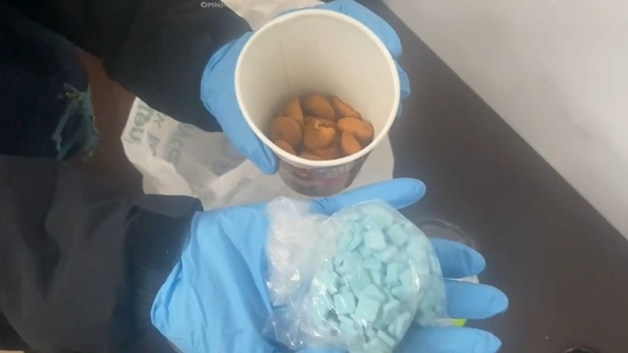 Samsun’da Şok Operasyon! Cips Kutusundan Uyuşturucu Çıktı