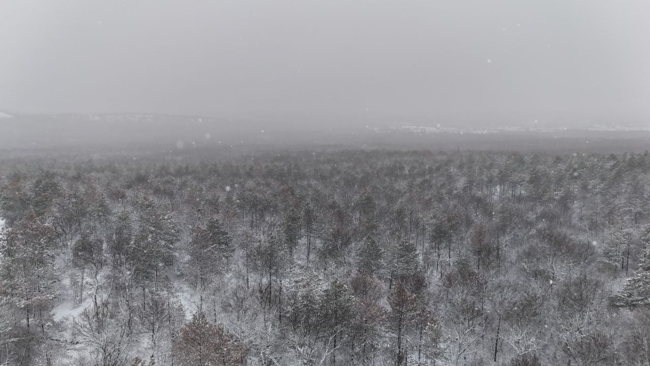 Kar Yağışı, Türkiye İle Bulgaristan Sınırında Eşsiz Manzaralar Oluşturdu - Sayfa 1