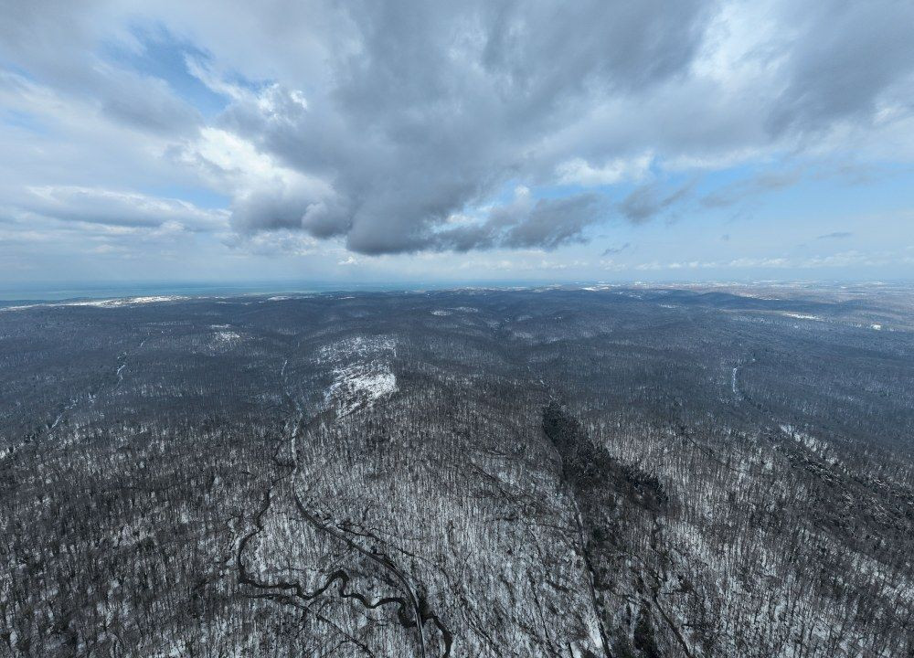 Beyaza Bürünen Belgrad Ormanı Havadan Görüntülendi - Sayfa 1