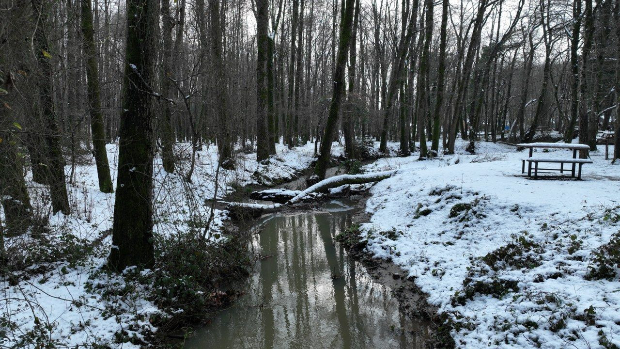Beyaza Bürünen Belgrad Ormanı Havadan Görüntülendi - Sayfa 4