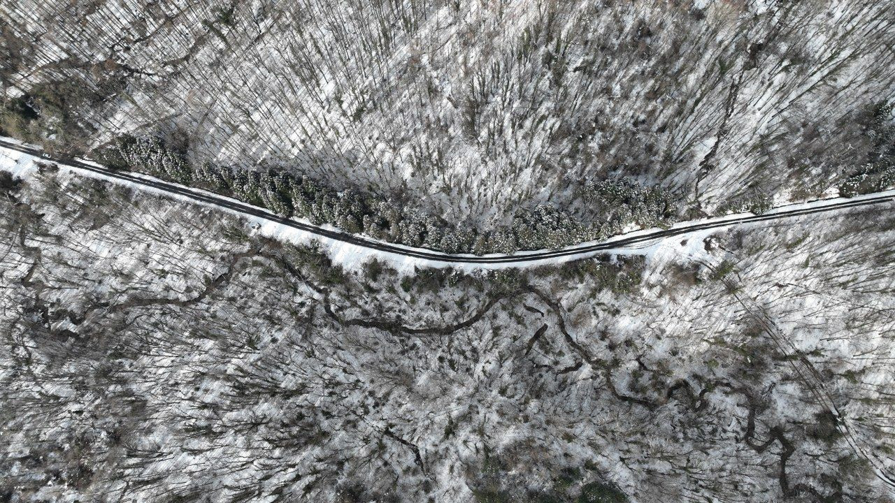 Beyaza Bürünen Belgrad Ormanı Havadan Görüntülendi - Sayfa 5