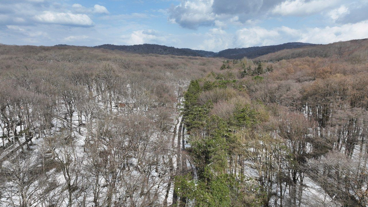 Beyaza Bürünen Belgrad Ormanı Havadan Görüntülendi - Sayfa 6