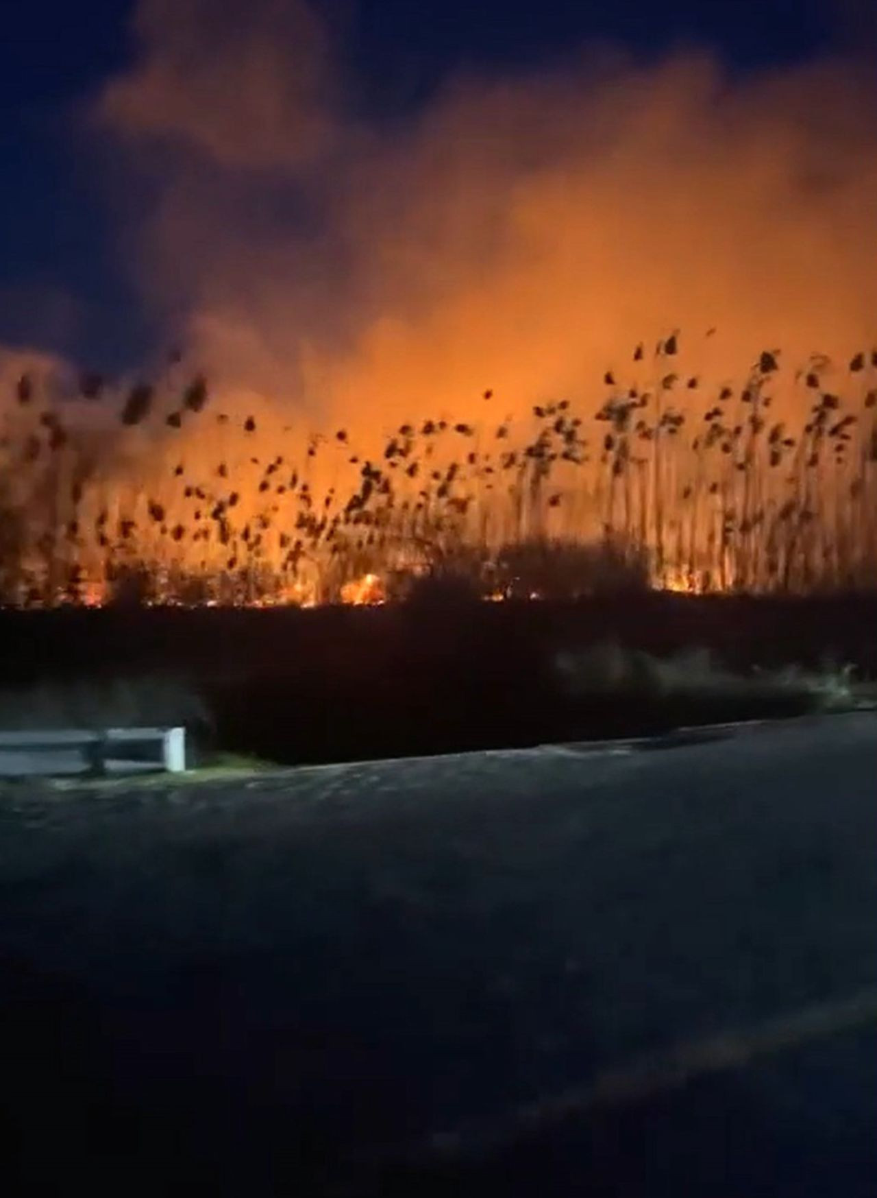 Köyceğiz’de Sazlık Yangını! Alevler Göl Kenarını Sardı - Sayfa 1