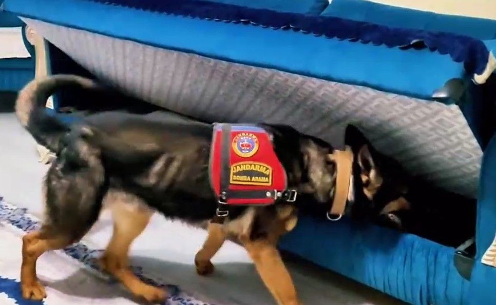 Tunceli’de 200 Milyon Liralık Dolandırıcılık! 4 Kişi Gözaltında - Sayfa 3