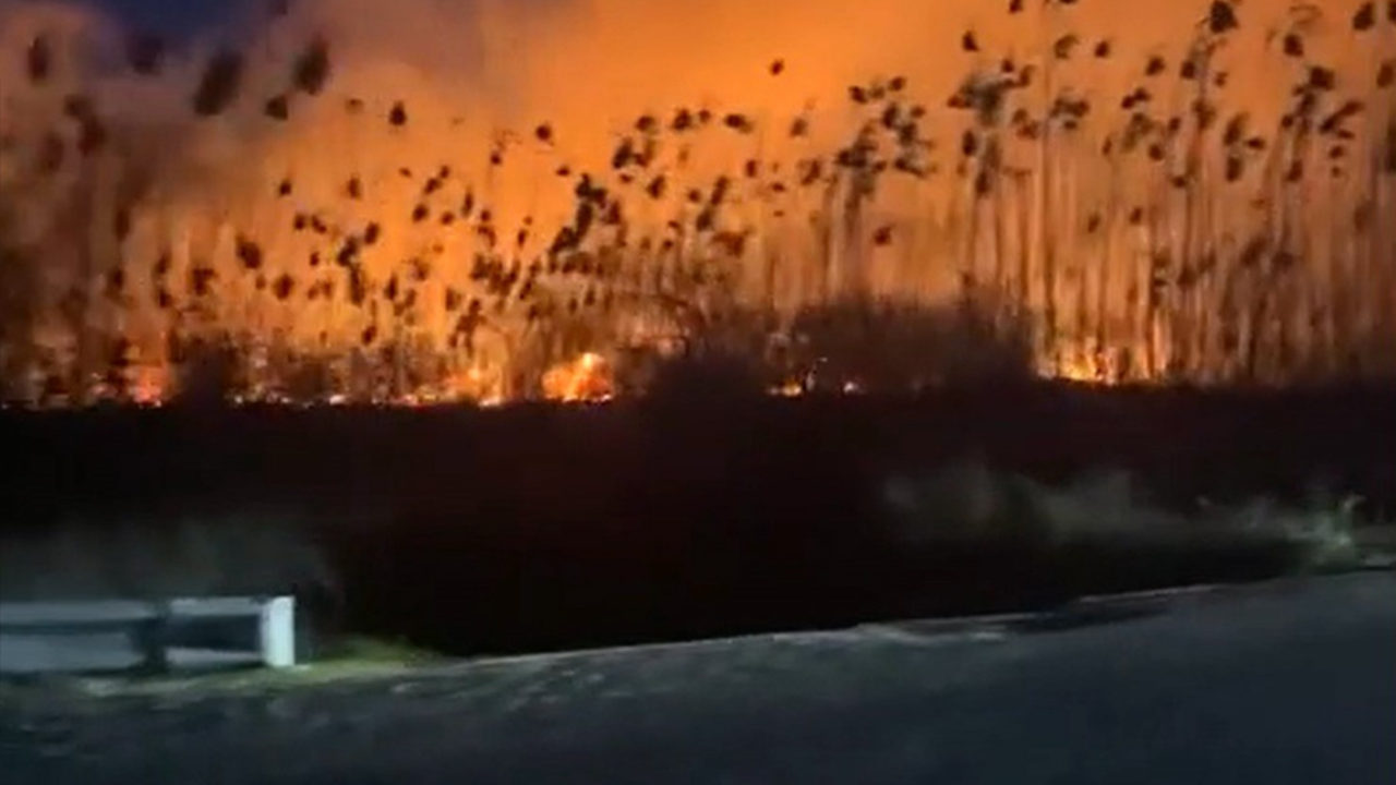 Köyceğiz’de Sazlık Yangını! Alevler Göl Kenarını Sardı