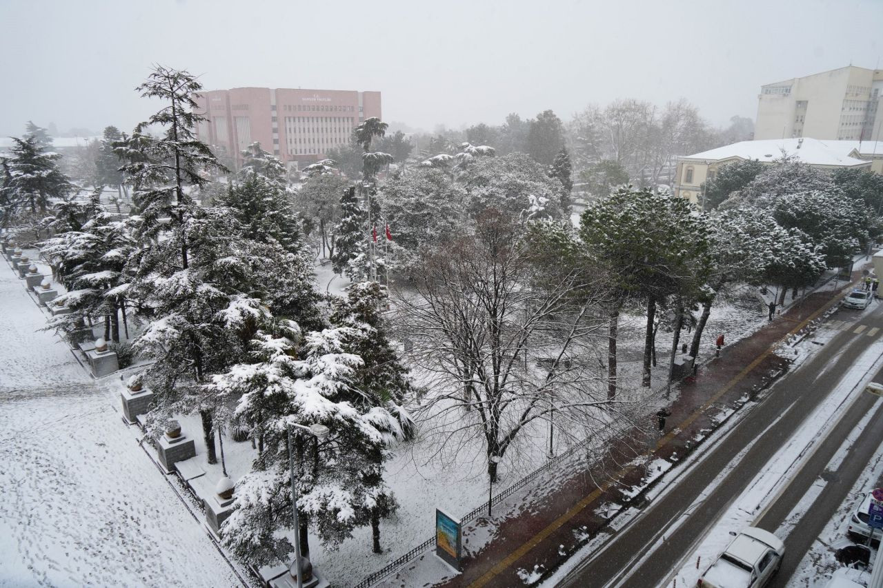 Samsun'da Hayat Dondu - Sayfa 3