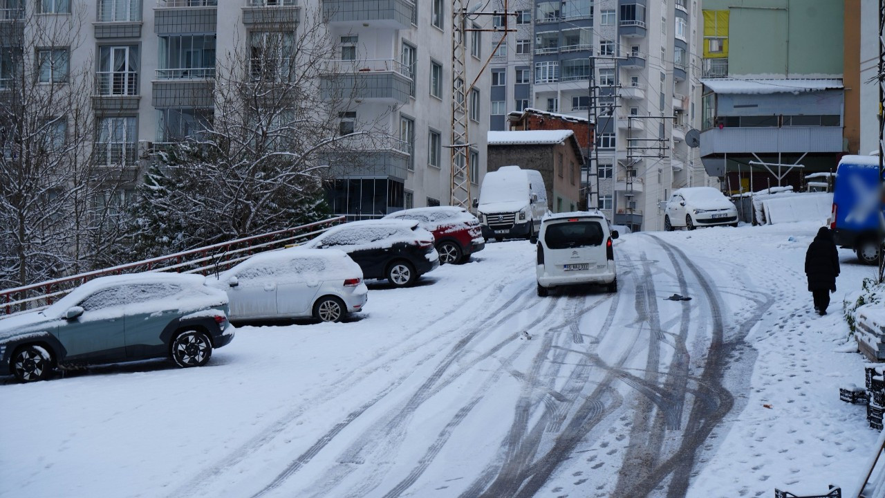 Samsun'da Hayat Dondu