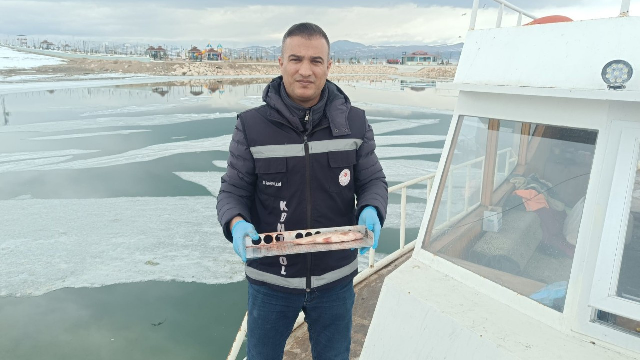 Erçek Gölü'nde Kış Balıkçılığı Sürüyor! İnci Kefali Avlanıyor