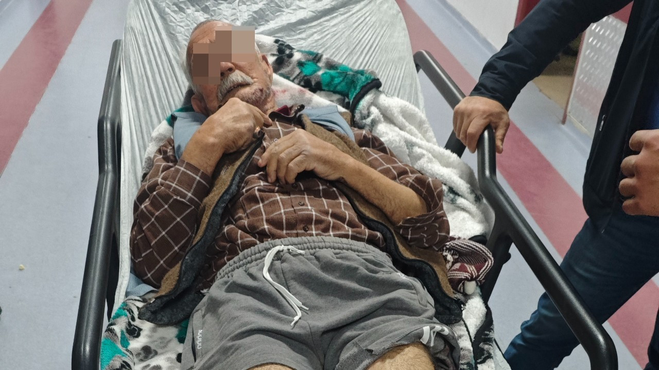 Diyarbakır’da Alzheimer Hastası Adam Köpeklerin Saldırısına Uğradı