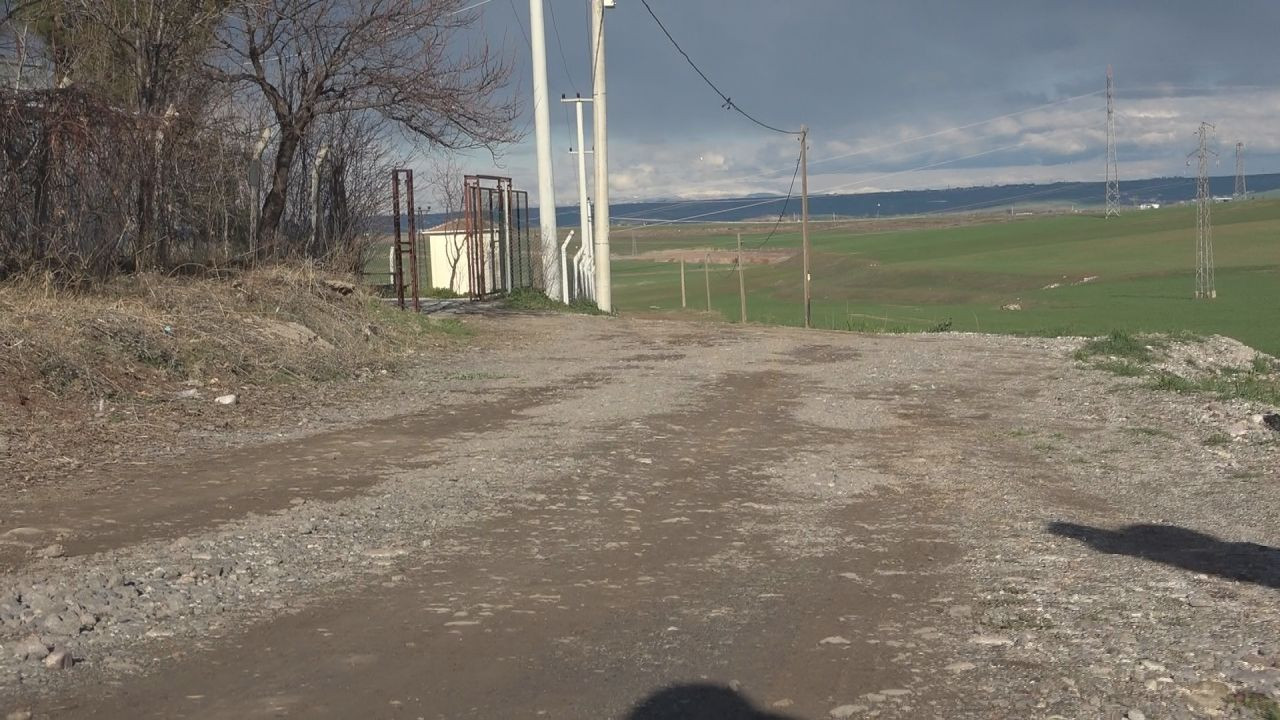 Diyarbakır’da Alzheimer Hastası Adam Köpeklerin Saldırısına Uğradı - Sayfa 2