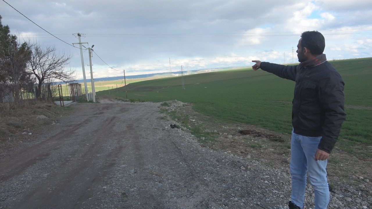 Diyarbakır’da Alzheimer Hastası Adam Köpeklerin Saldırısına Uğradı - Sayfa 3