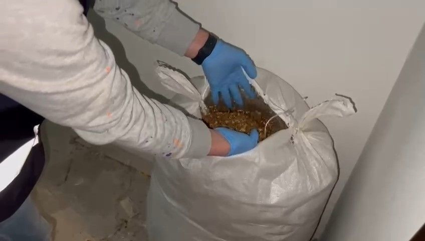 Samsun’da Kaçak Tütün Operasyonu! 177 Bin Makaron ve 350 Kilo Tütün Ele Geçirildi - Sayfa 2