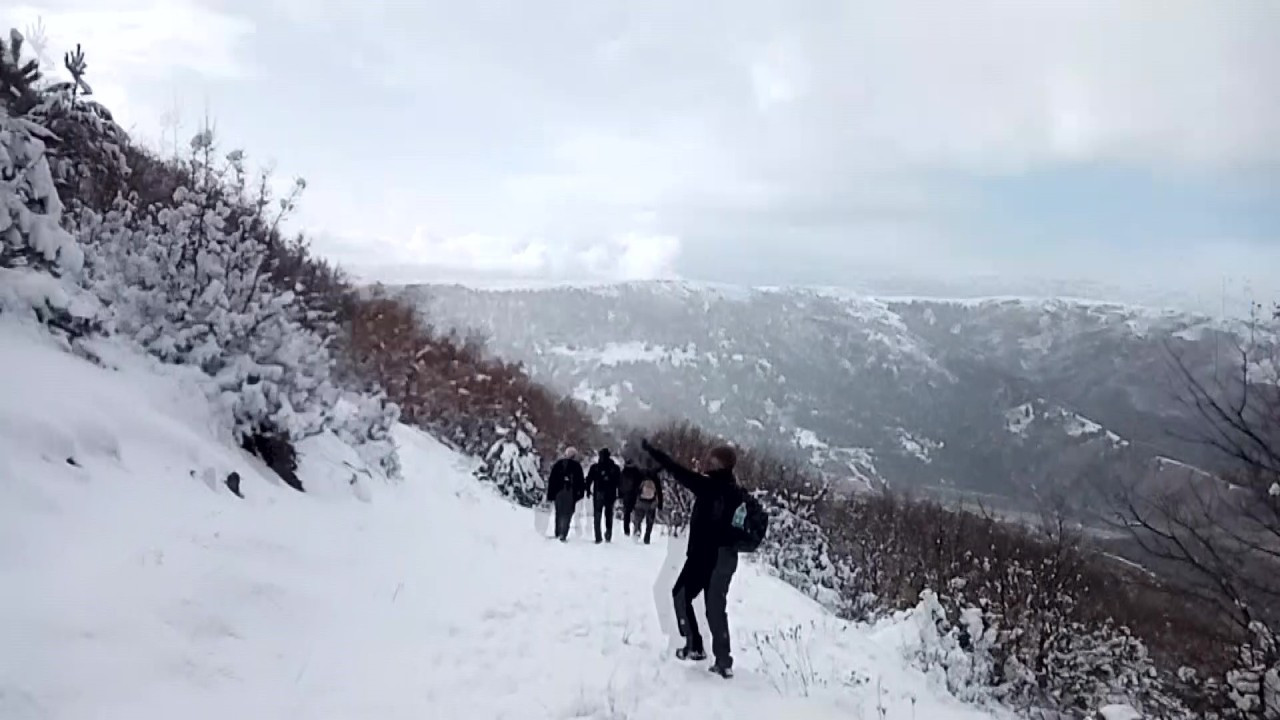 Amasya’da Dağda Gezinti Yapanların Önüne Kurt Çıktı