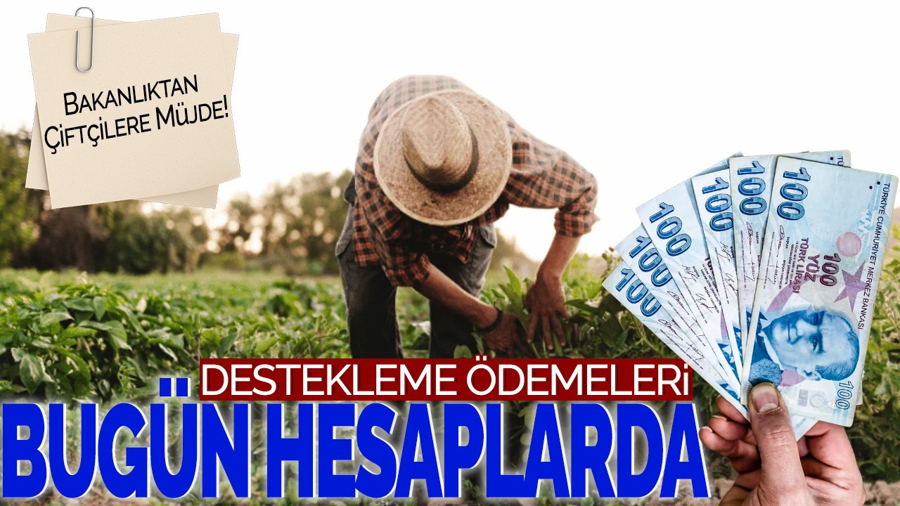 Bakanlıktan Çiftçilere Müjde! Destekleme Ödemeleri Bugün Hesaplarda