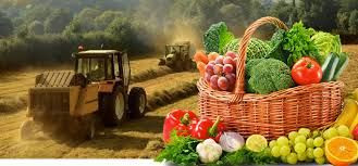 Bakanlıktan Çiftçilere Müjde! Destekleme Ödemeleri Bugün Hesaplarda - Sayfa 2