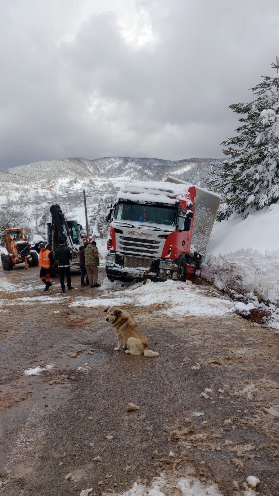 Doğalgaz Tüpleri Taşıyan Tır Şarampole Yan Yattı - Sayfa 3
