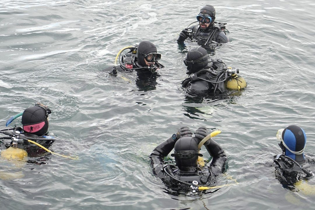 Bursa'da Dalgıçlar Müsilajın Denizdeki Durumunu Görüntüledi - Sayfa 7